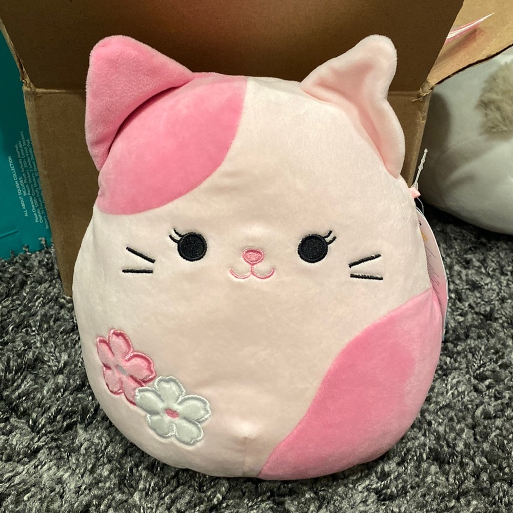 Squishmallow Roseanne Sakura the Pink Cat 8” NWT HOT TOPIC EXCLUSIVE